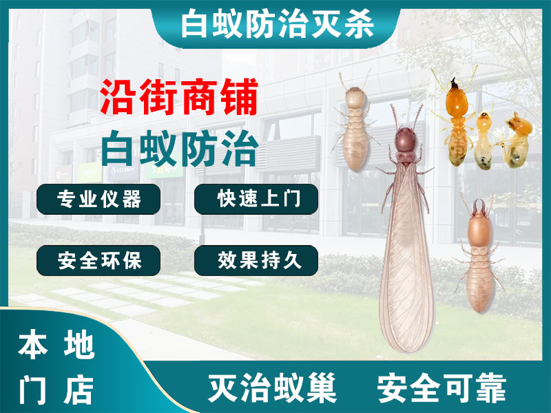 萧山区沿街商铺白蚁防治