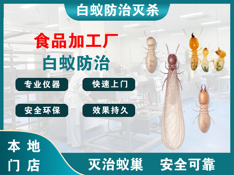 萧山区食品加工厂白蚁防治