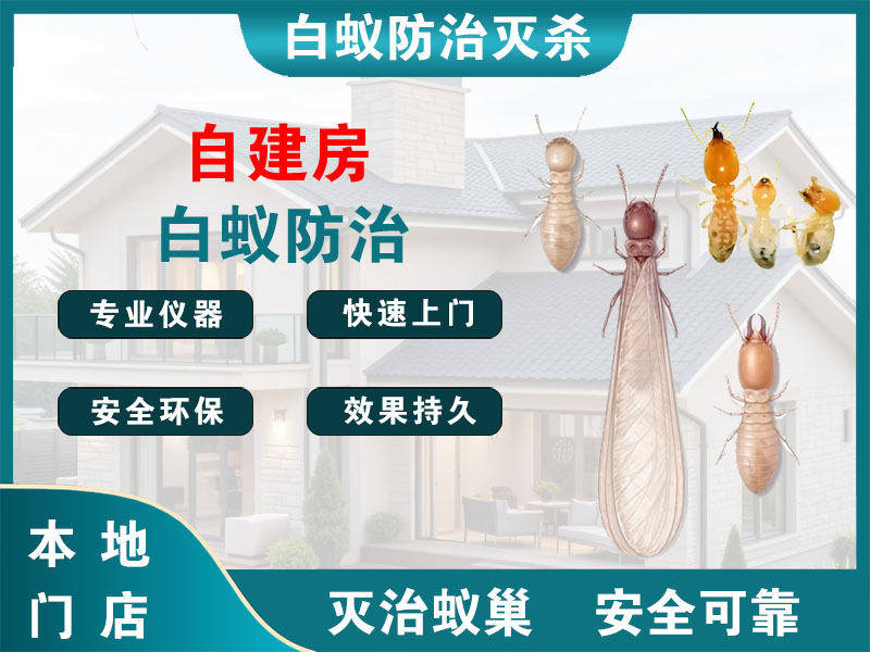 萧山区自建房白蚁防治