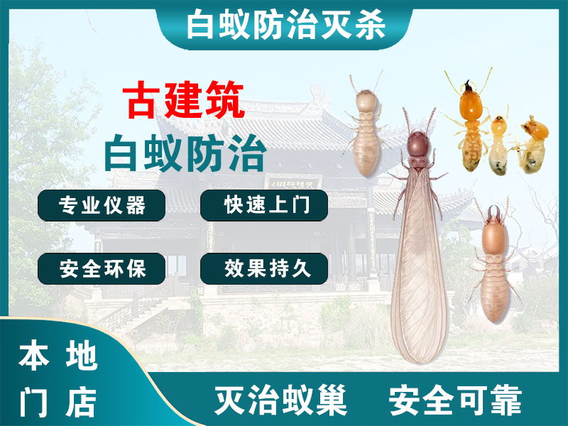 萧山区古建筑白蚁防治