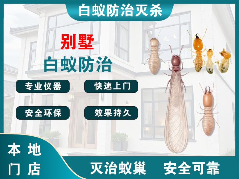 萧山区别墅白蚁防治