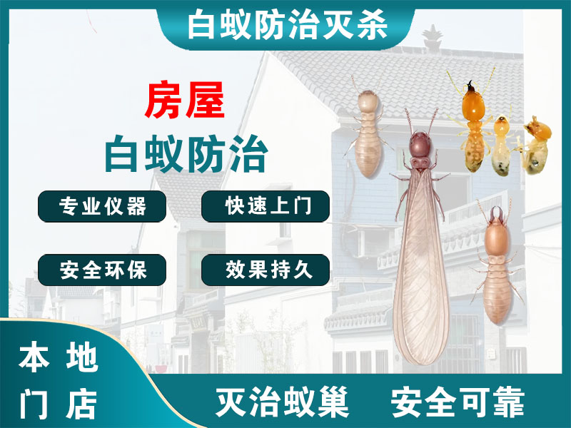 萧山区房屋白蚁防治